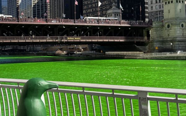 Evergreen Penguin by Green River in Chicago